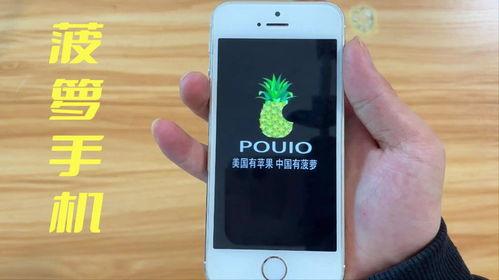 菠萝菠手机在线视频,畅享视听盛宴，解锁生活新篇章