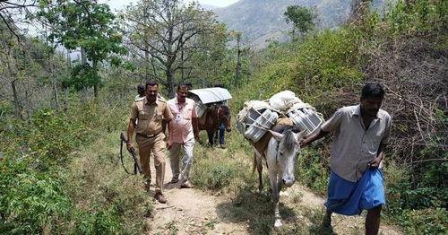 印度驴子在线视频